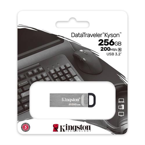 PEN KINGSTO.USB3.2 -DTKN/256GB