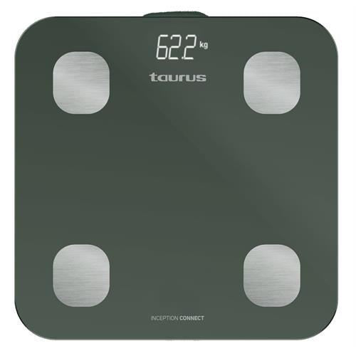 BAL.WC TAURUS DIG. -INCEPTIONCONNECT