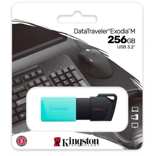 PEN KINGSTO.USB3.2 -DTXM/256GB